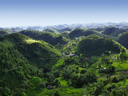 jamaica blue mountain coffee
