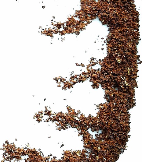 chemex grind size