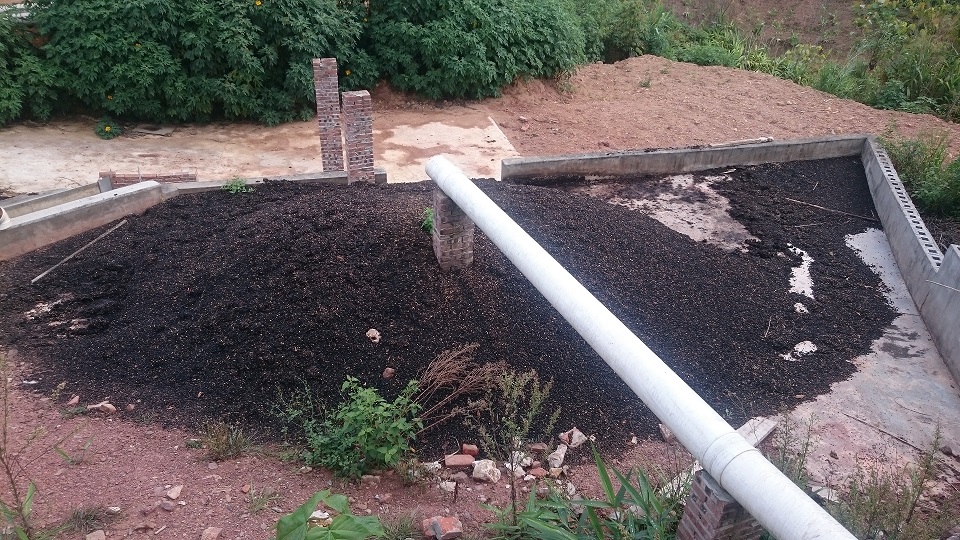 Yunnan coffee landscape