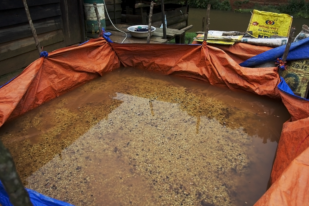 A field fermentation tank lined with tarp